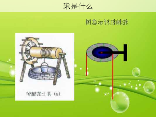 末
轮是什么