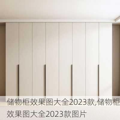 储物柜效果图大全2023款,储物柜效果图大全2023款图片