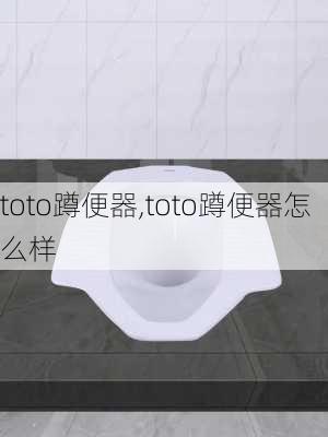 toto蹲便器,toto蹲便器怎么样