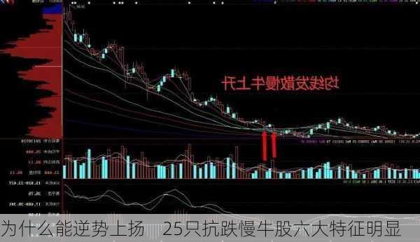 为什么能逆势上扬    25只抗跌慢牛股六大特征明显