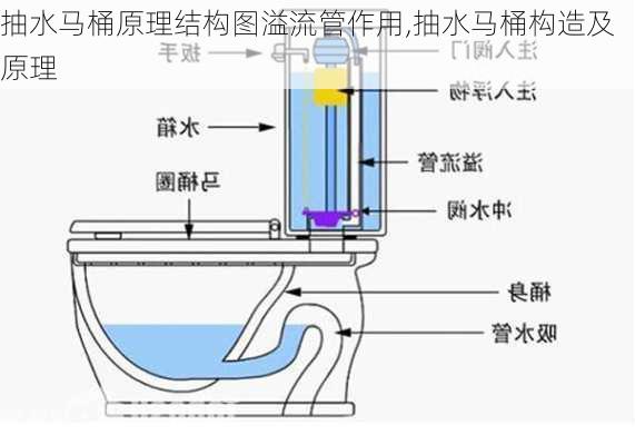 抽水马桶原理结构图溢流管作用,抽水马桶构造及原理