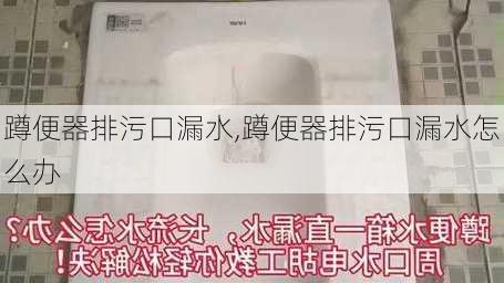 蹲便器排污口漏水,蹲便器排污口漏水怎么办