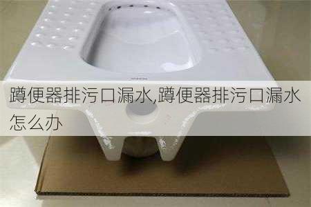 蹲便器排污口漏水,蹲便器排污口漏水怎么办