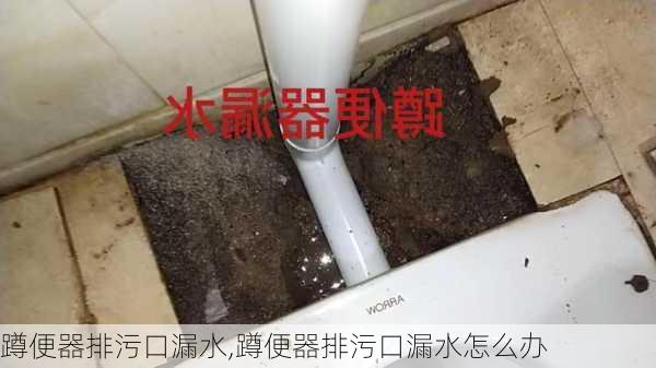 蹲便器排污口漏水,蹲便器排污口漏水怎么办