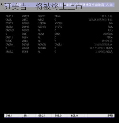 *ST美吉：将被终止上市
