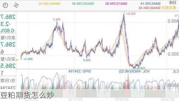 豆粕期货怎么炒