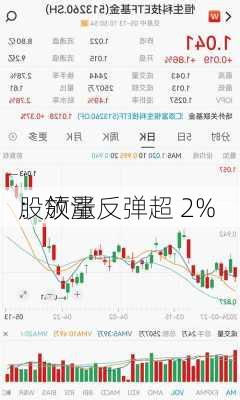 
：放量反弹超 2% 
股领涨