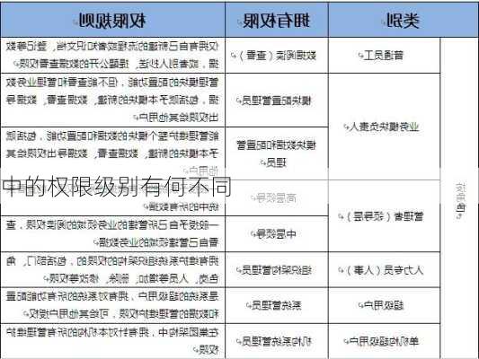 中的权限级别有何不同