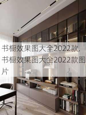 书橱效果图大全2022款,书橱效果图大全2022款图片