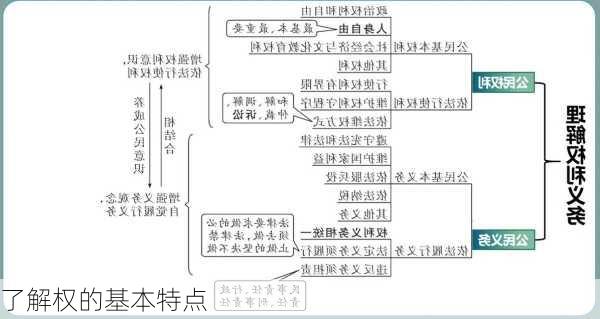 了解权的基本特点