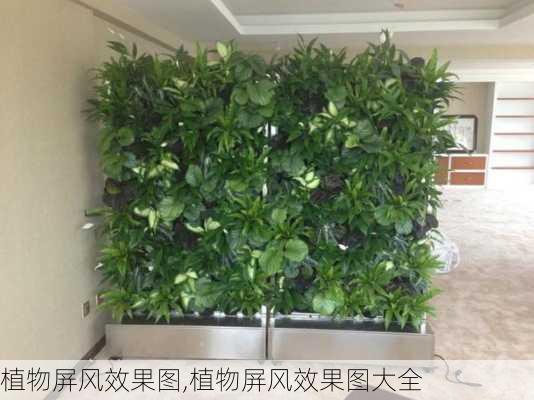 植物屏风效果图,植物屏风效果图大全