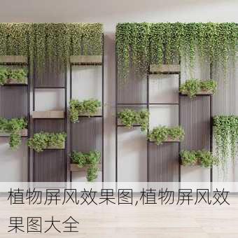 植物屏风效果图,植物屏风效果图大全