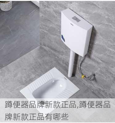 蹲便器品牌新款正品,蹲便器品牌新款正品有哪些