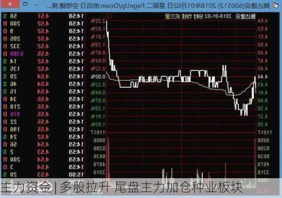 主力资金 | 多股拉升 尾盘主力加仓种业板块