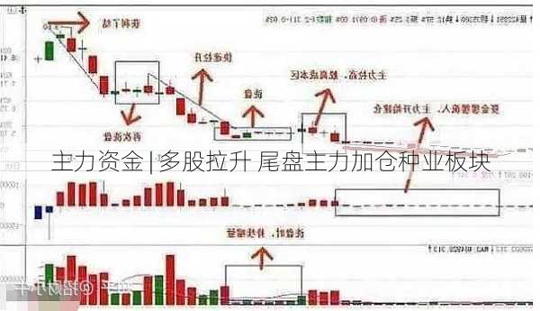 主力资金 | 多股拉升 尾盘主力加仓种业板块