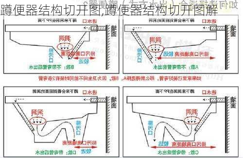 蹲便器结构切开图,蹲便器结构切开图解