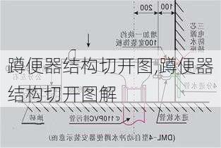 蹲便器结构切开图,蹲便器结构切开图解