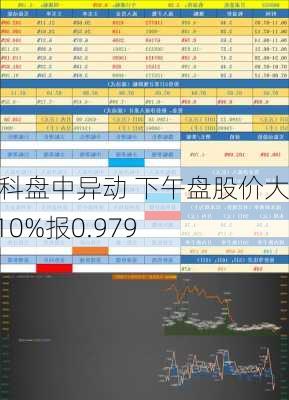 埃姆科盘中异动 下午盘股价大涨5.10%报0.979
