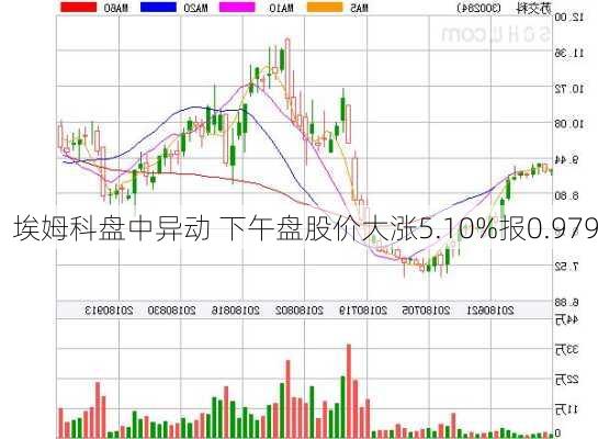 埃姆科盘中异动 下午盘股价大涨5.10%报0.979
