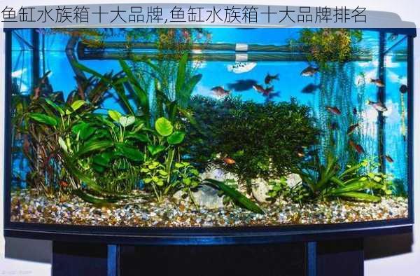 鱼缸水族箱十大品牌,鱼缸水族箱十大品牌排名