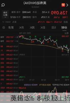 英伟达：8 月 13 
涨超 5%  科技股上扬