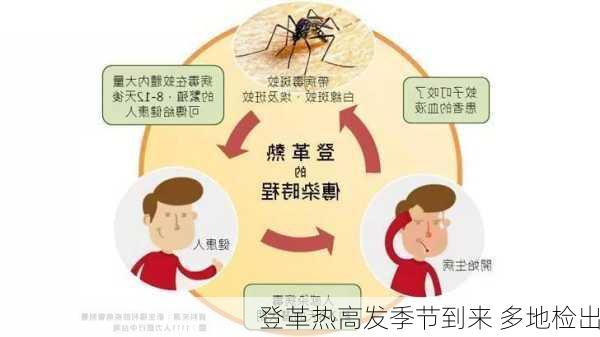 登革热高发季节到来 多地检出
