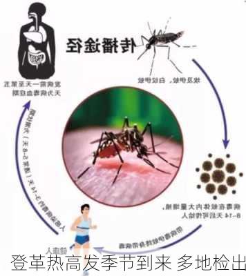 登革热高发季节到来 多地检出
