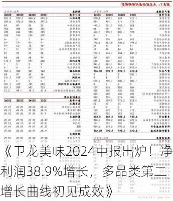 《卫龙美味2024中报出炉！净利润38.9%增长，多品类第二增长曲线初见成效》