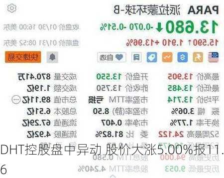 DHT控股盘中异动 股价大涨5.00%报11.46
