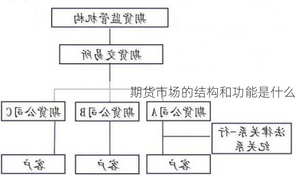 期货市场的结构和功能是什么