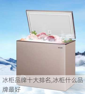 冰柜品牌十大排名,冰柜什么品牌最好