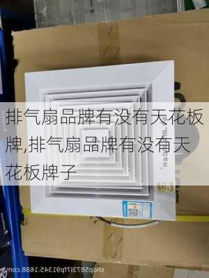 排气扇品牌有没有天花板牌,排气扇品牌有没有天花板牌子