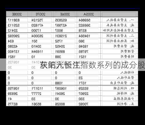 东阳光长江
获纳入恒生指数系列的成分股