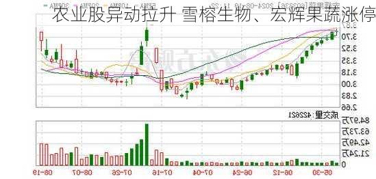 农业股异动拉升 雪榕生物、宏辉果蔬涨停