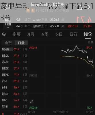 艾卫
盘中异动 下午盘大幅下跌5.13%