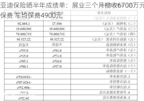 
亚迪保险晒半年成绩单：展业三个月揽收6700万元保费 车均保费4900元