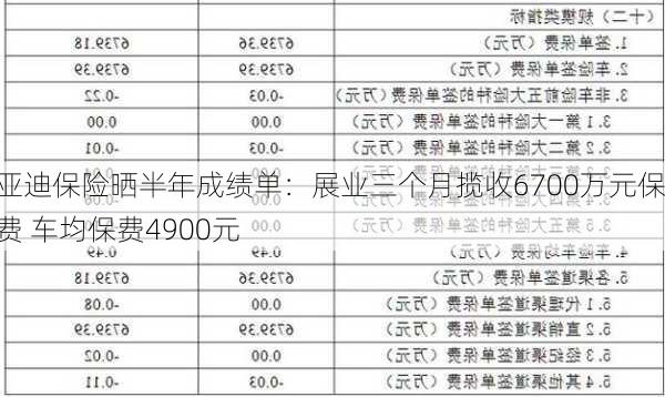 
亚迪保险晒半年成绩单：展业三个月揽收6700万元保费 车均保费4900元