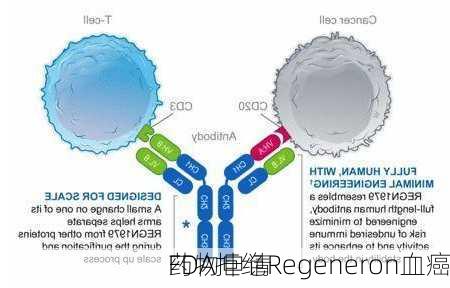 
FDA拒绝Regeneron血癌
药物申请