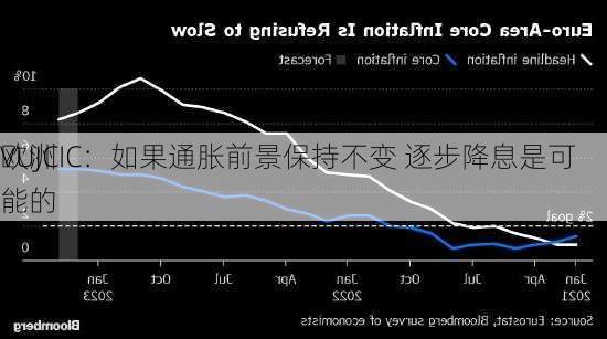 欧洲
VUJCIC：如果通胀前景保持不变 逐步降息是可能的