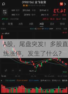 A股，尾盘突发！多股直线涨停，发生了什么？