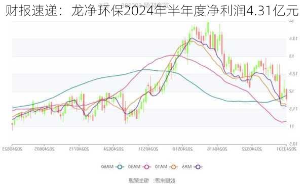 财报速递：龙净环保2024年半年度净利润4.31亿元