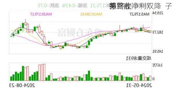 “
茅”吉
特营收净利双降  子
拟终止