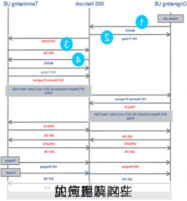 如何理解IMS
的产生及其在
的应用？这些
如何影响
决策？