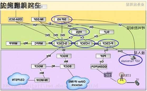 如何理解IMS
的产生及其在
的应用？这些
如何影响
决策？