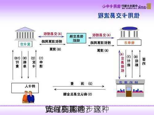 如何在国内
Visa及其对
支付的影响？这种
流程有哪些步骤？