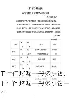 卫生间堵漏一般多少钱,卫生间堵漏一般多少钱一个