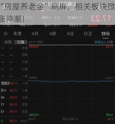 “房屋养老金”刷屏，相关板块掀涨停潮！
