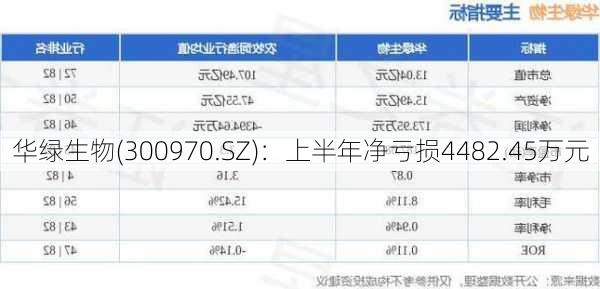 华绿生物(300970.SZ)：上半年净亏损4482.45万元