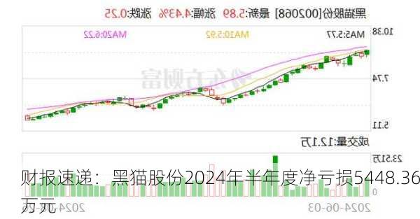 财报速递：黑猫股份2024年半年度净亏损5448.36万元