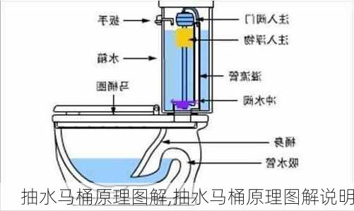 抽水马桶原理图解,抽水马桶原理图解说明